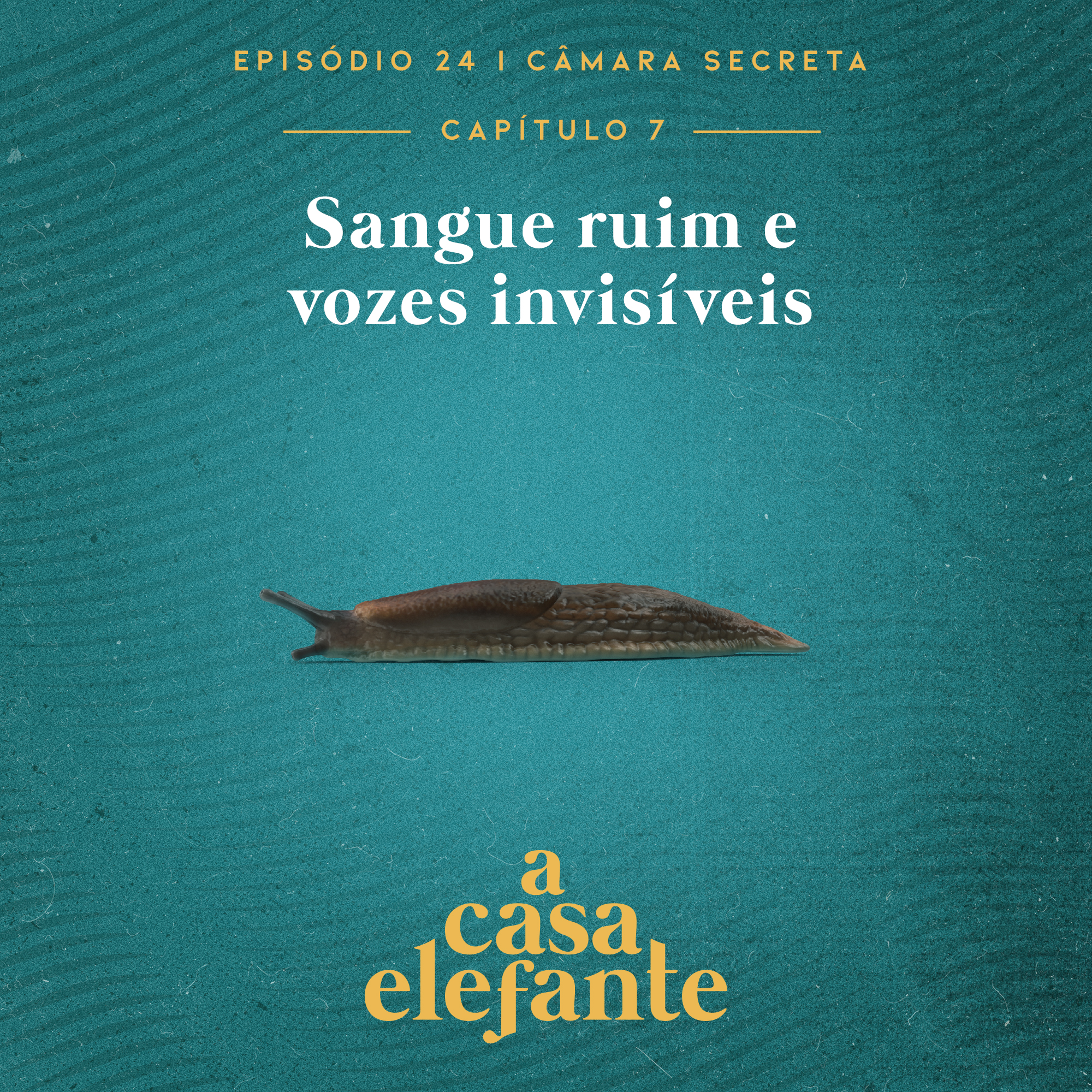Animagos – Animagos
