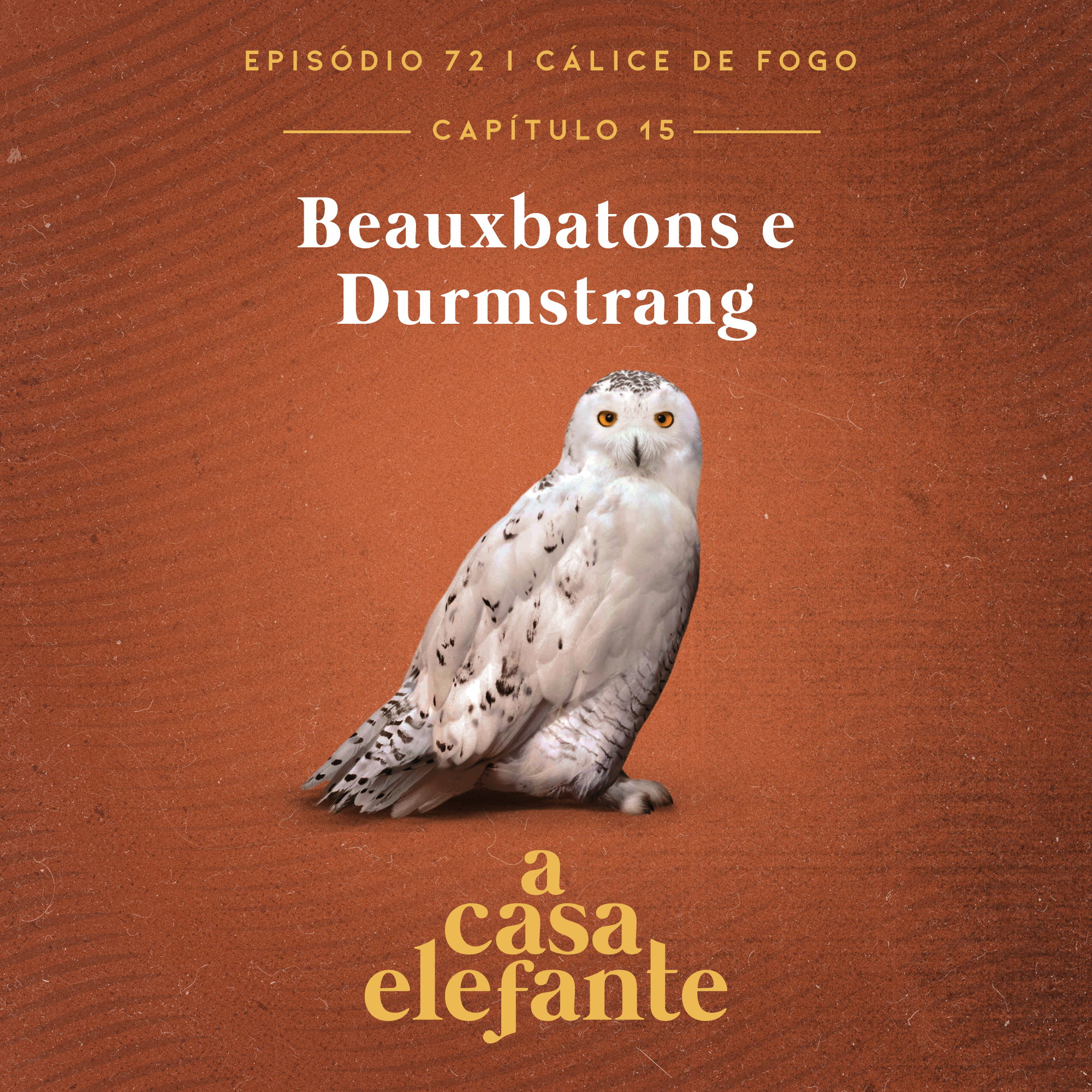 Podcasts – Animagos