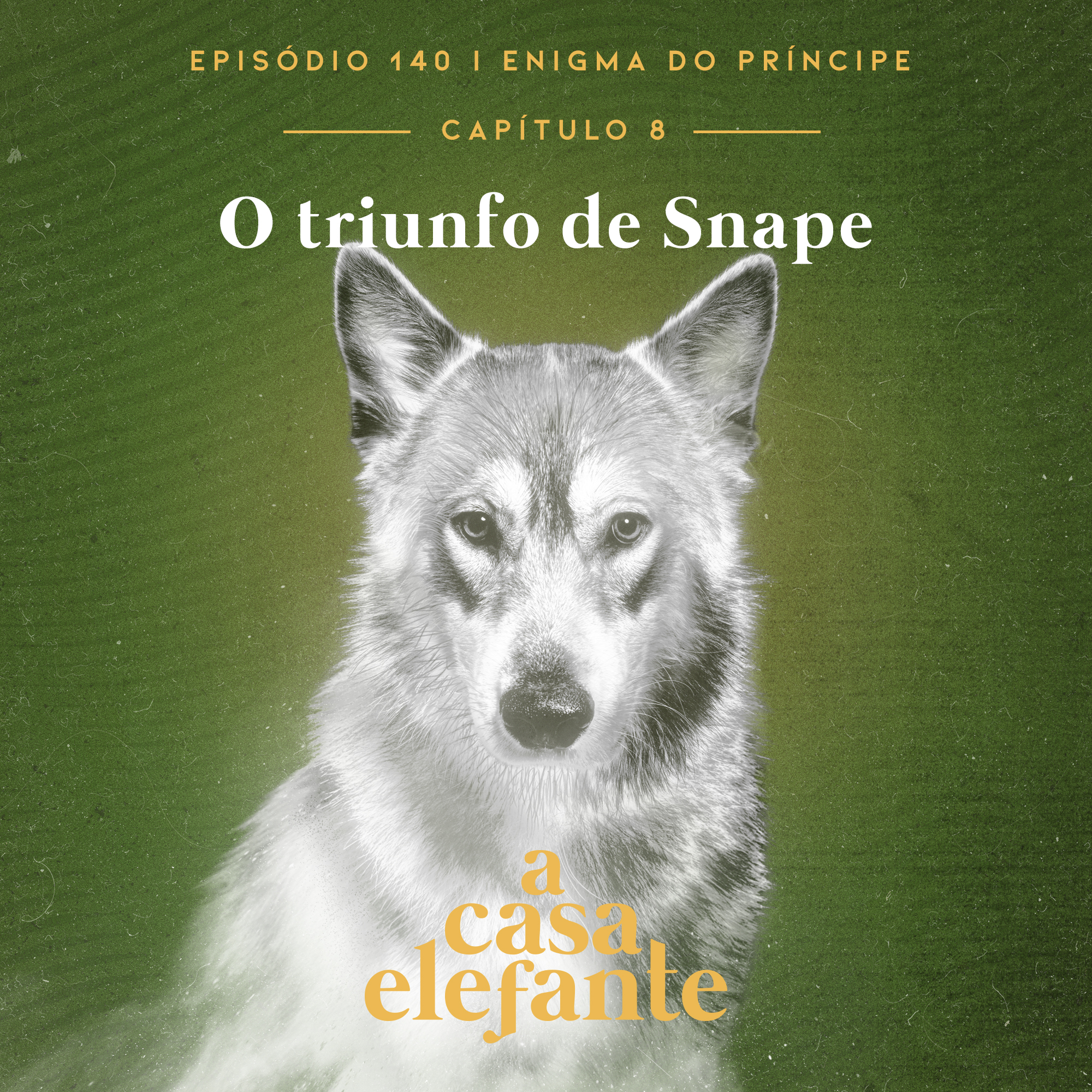 Podcasts – Animagos